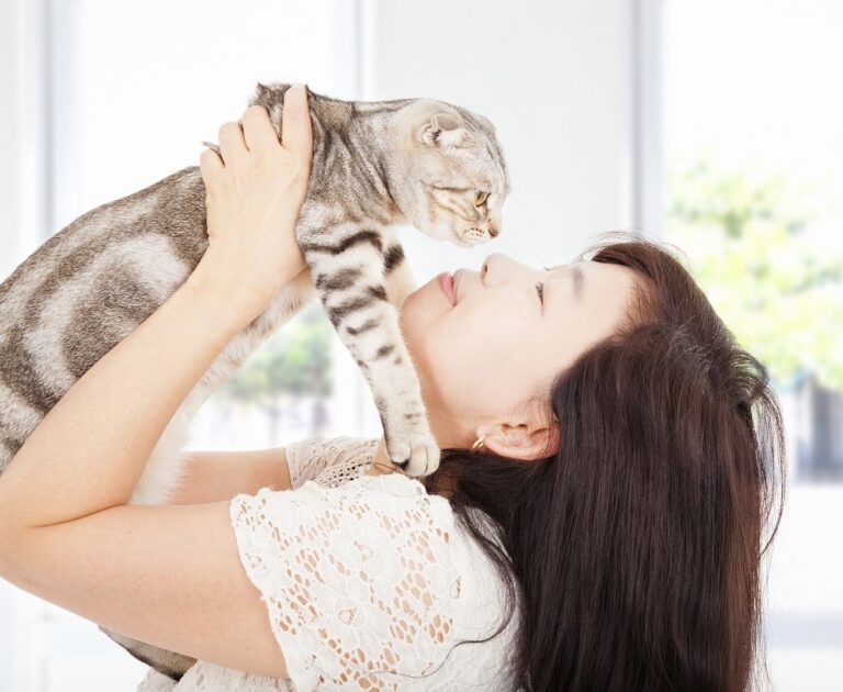 5 Great Tips for Taking Care of a Cat