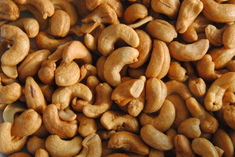 The Health Benefits of Cashew Nuts