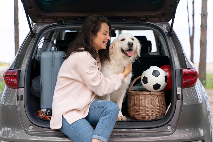 Transporting Pets Internationally: An Essential Guide for Pet Owners