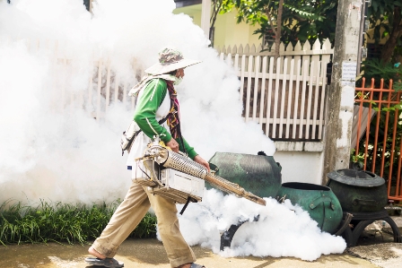 Battling the Bite: How to Protect Your Property from Mosquito Infestation